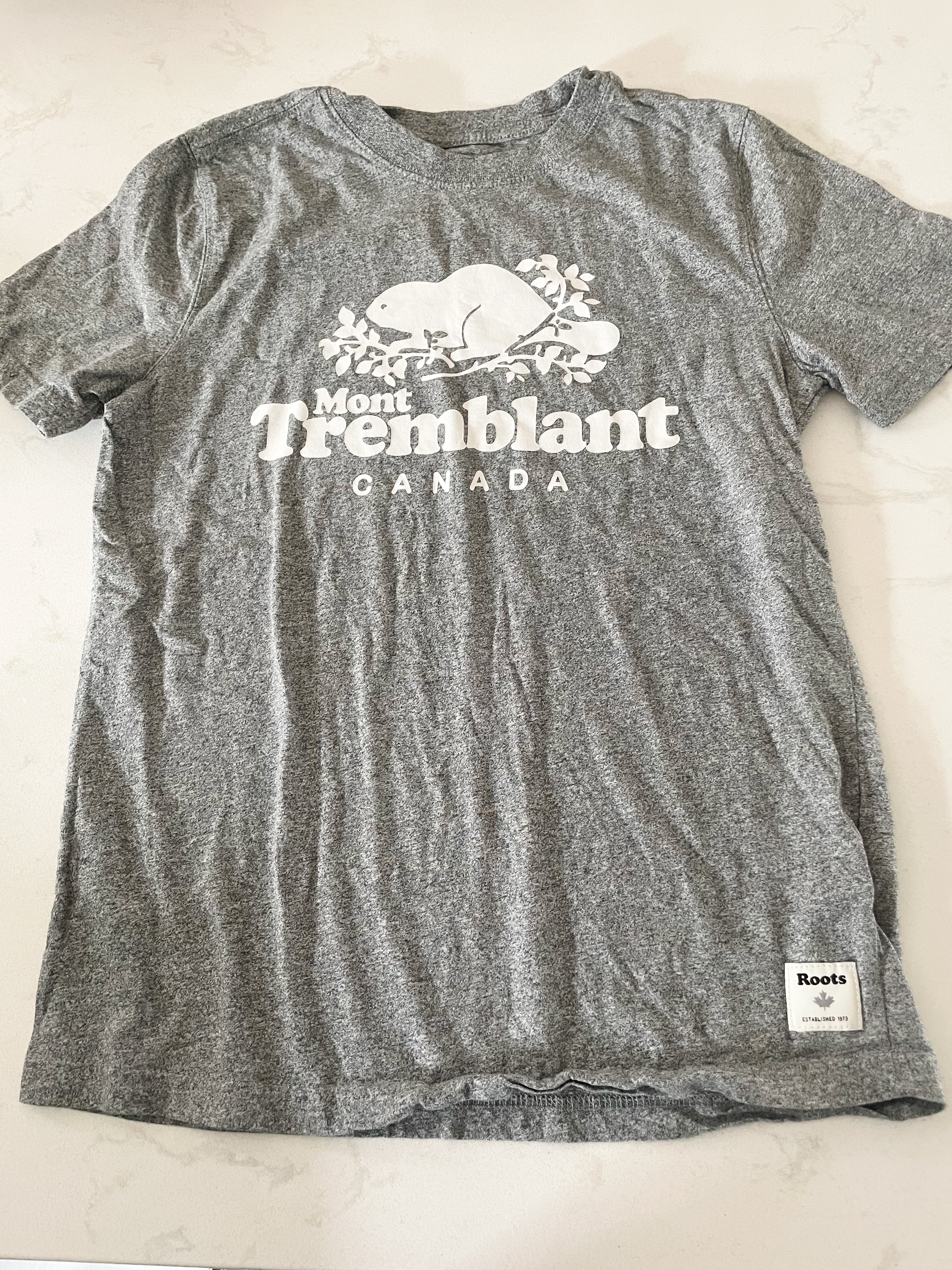 Roots-11-12Y- VGUC- Grey t shirt with white logo