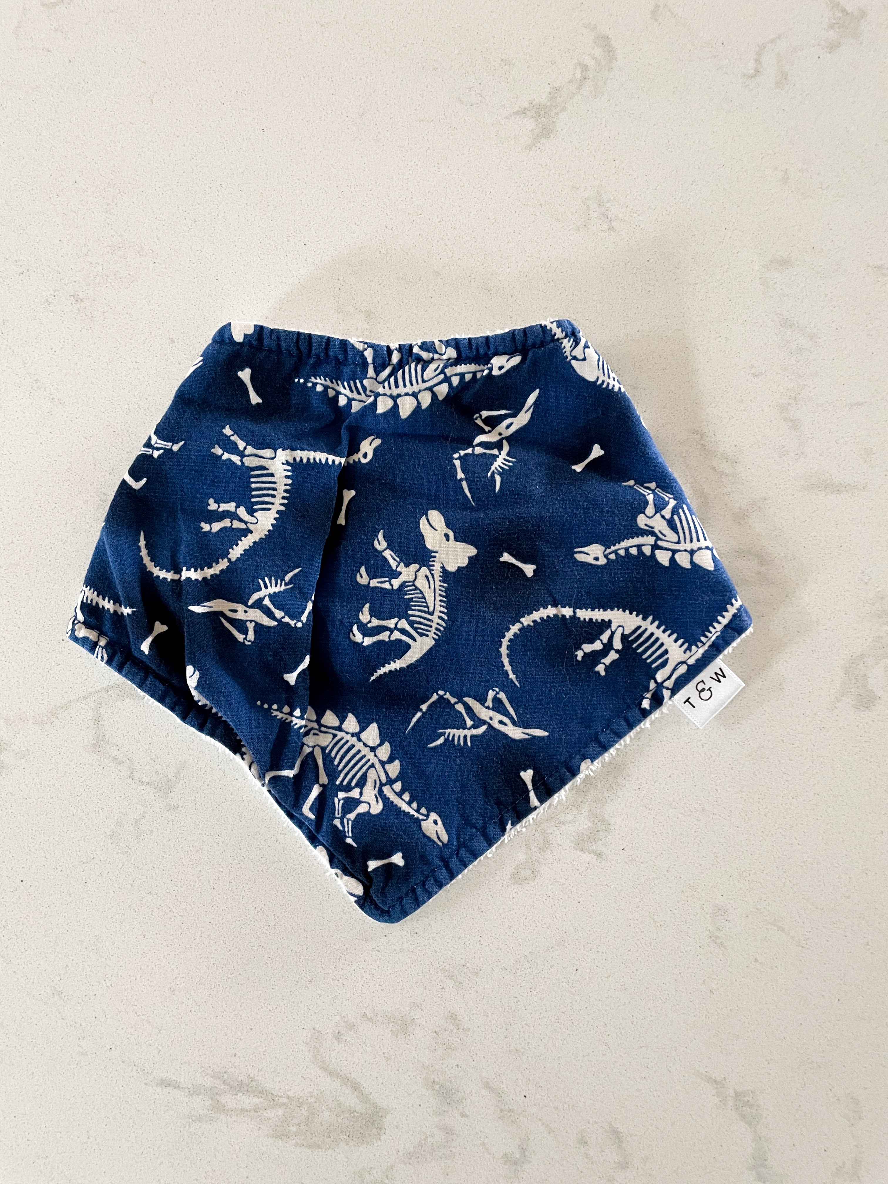 Tay and Willow- GUC- drool bib blue with dinosaur bones