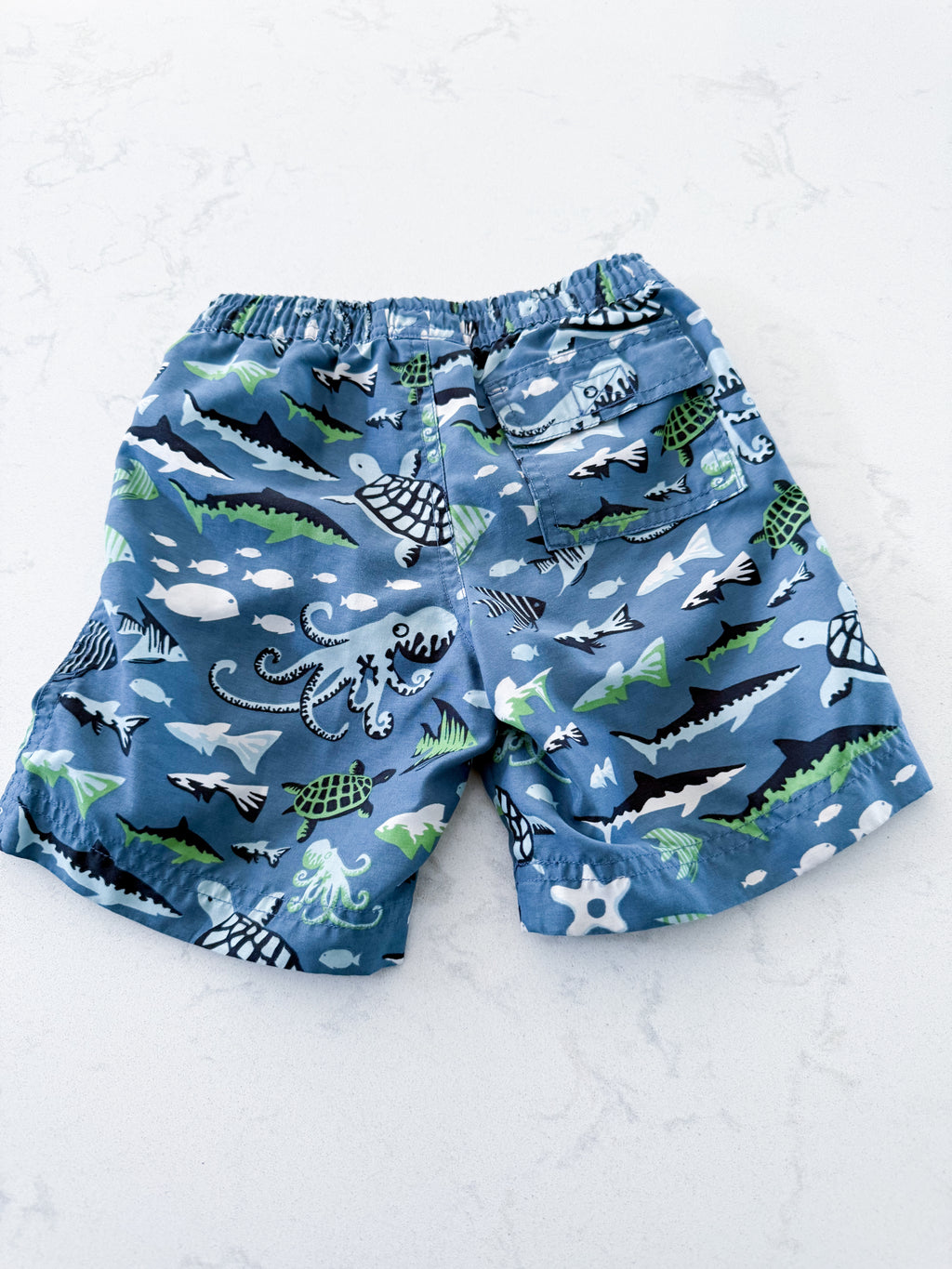 Joe Fresh- 3T- VGUC- blue swim trunks with underwater sea creatures pattern