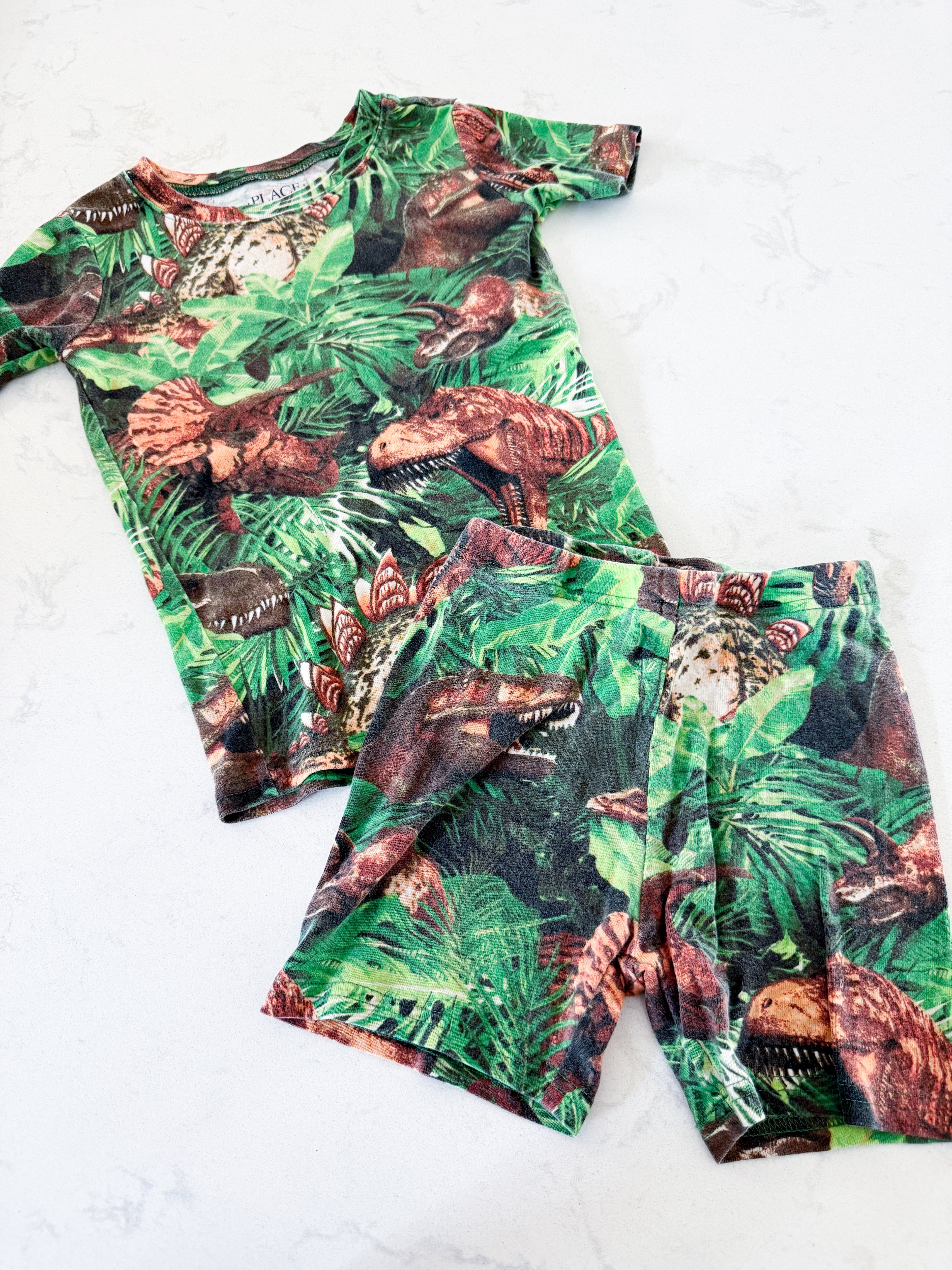 The Children’s Place- 6Y- GUC- two piece shorts jammies with tropical leaves and dinosaur pattern
