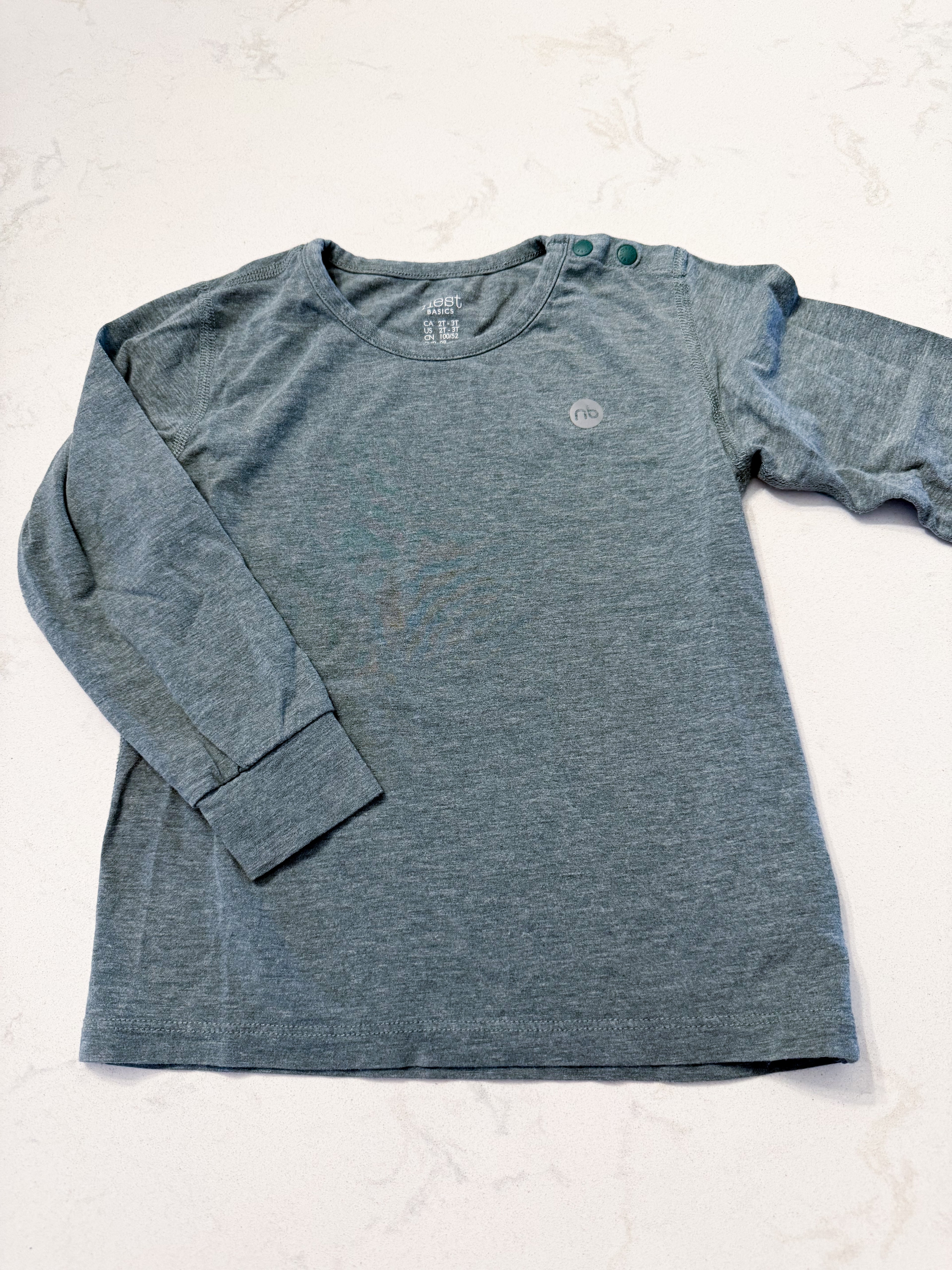 Nest- 2/3T- VGUC- bamboo long sleeve light green shirt with grey metallic logo.