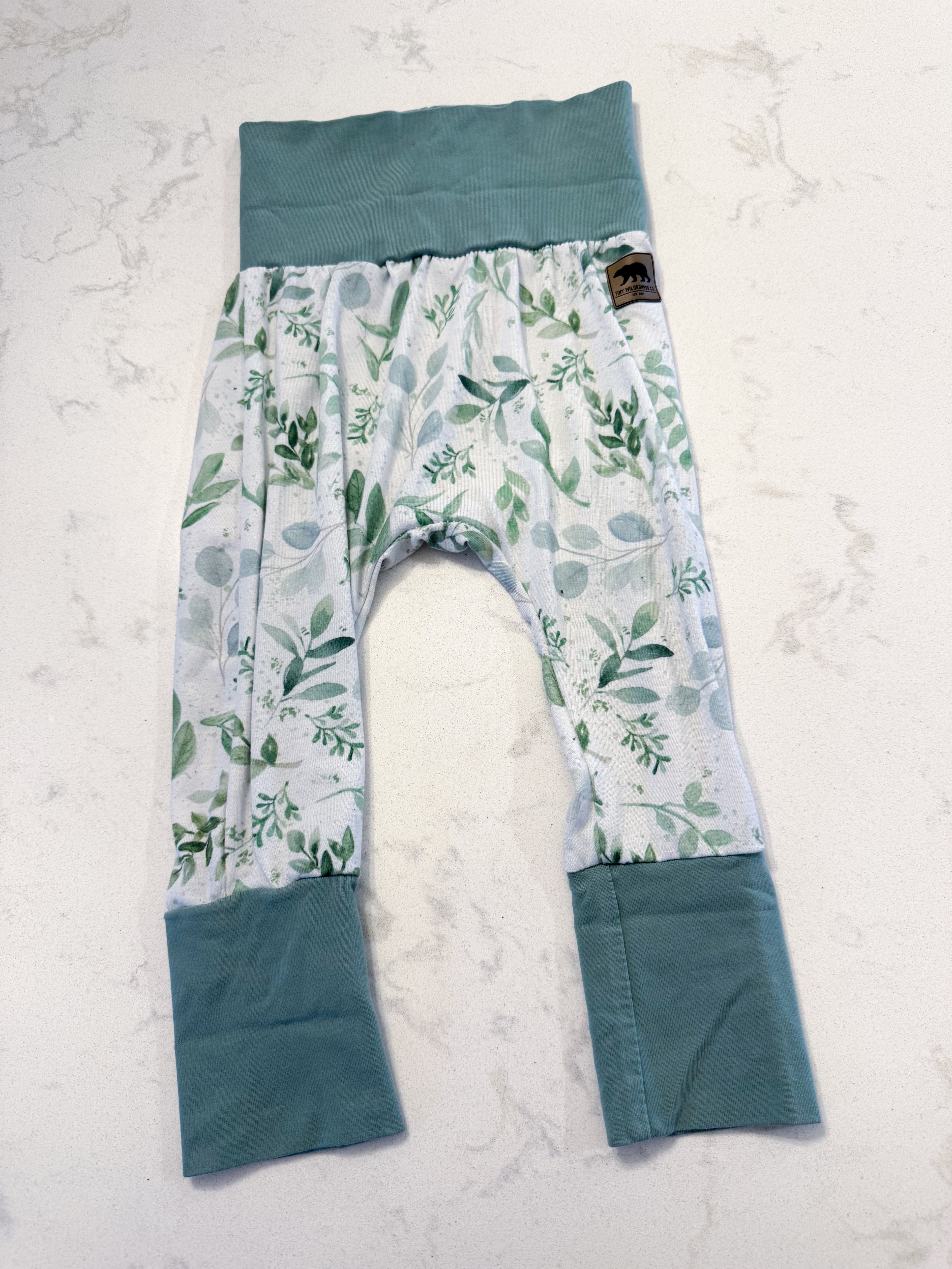 Tiny Wilderness Co- 3-12m- GUC- grow with me green leafy pants