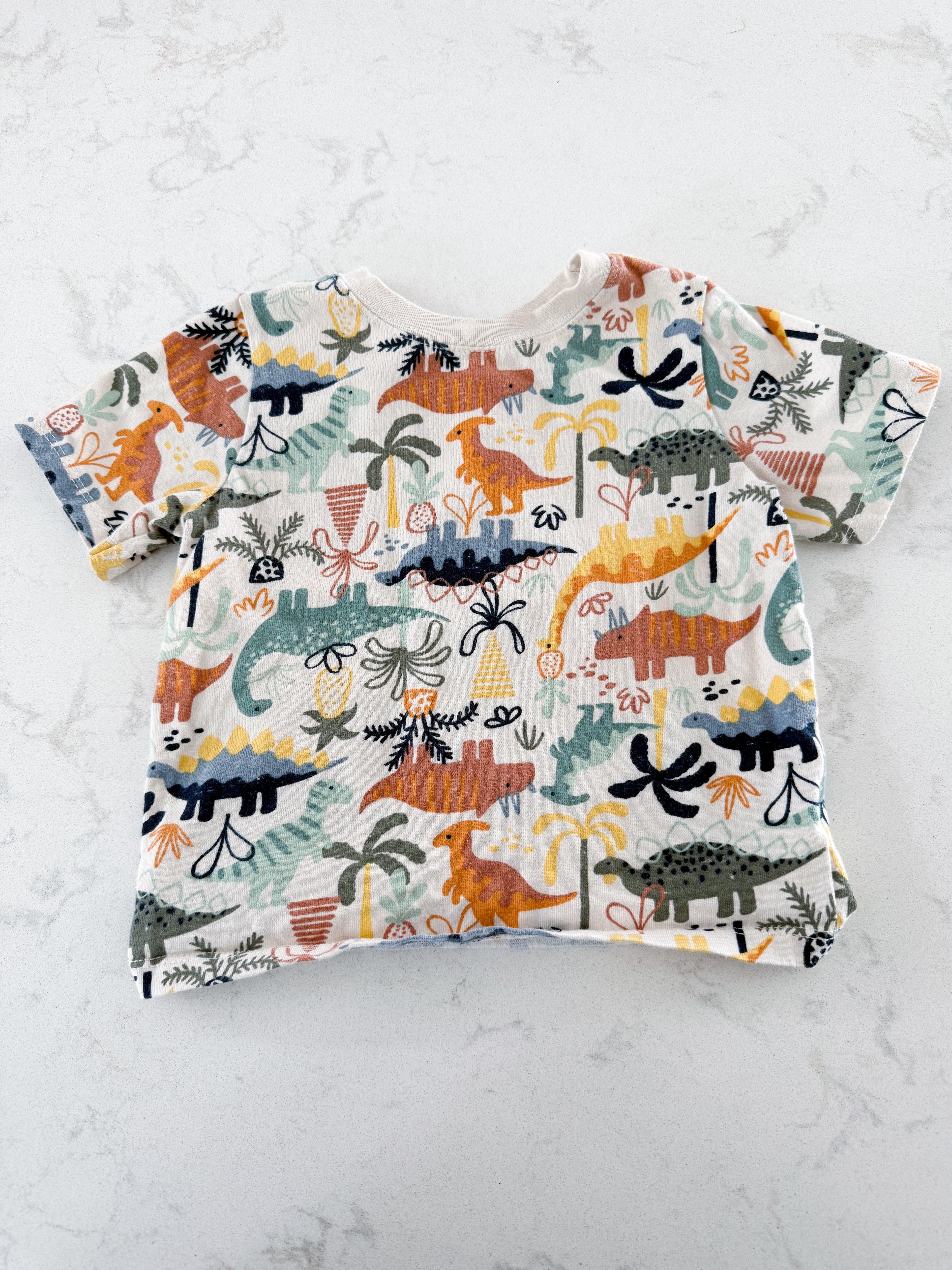 Garanimals- 24m- GUC- off white t shirt with colourful dinos