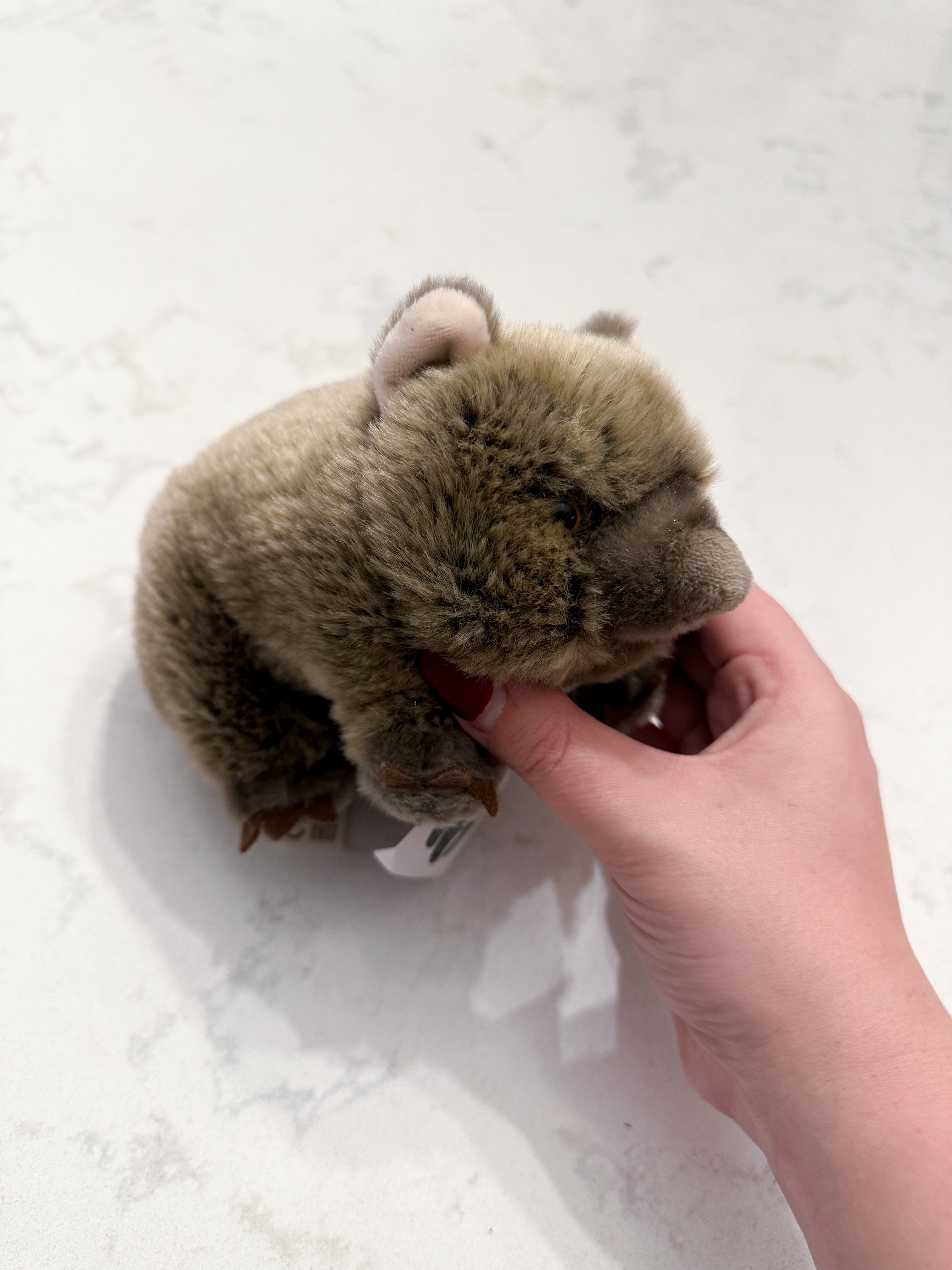 WWF- stuffed wombat- BNWT