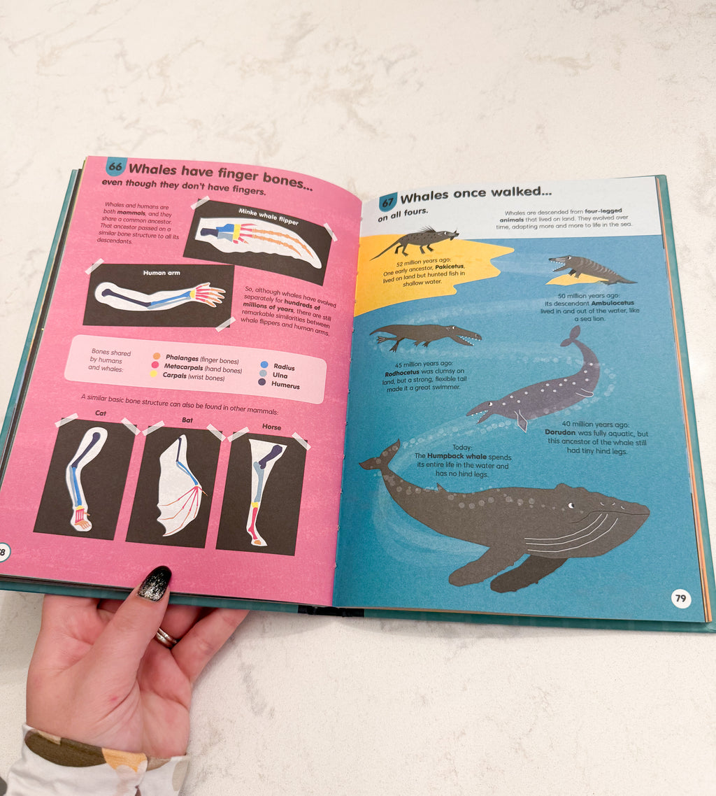 100 Things To Know About Science- VGUC