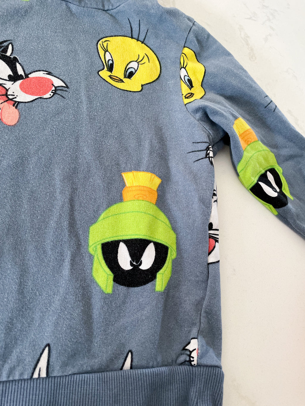 H&M- 6X/7-GUC- slate blue hoodie with Looney Tunes characters