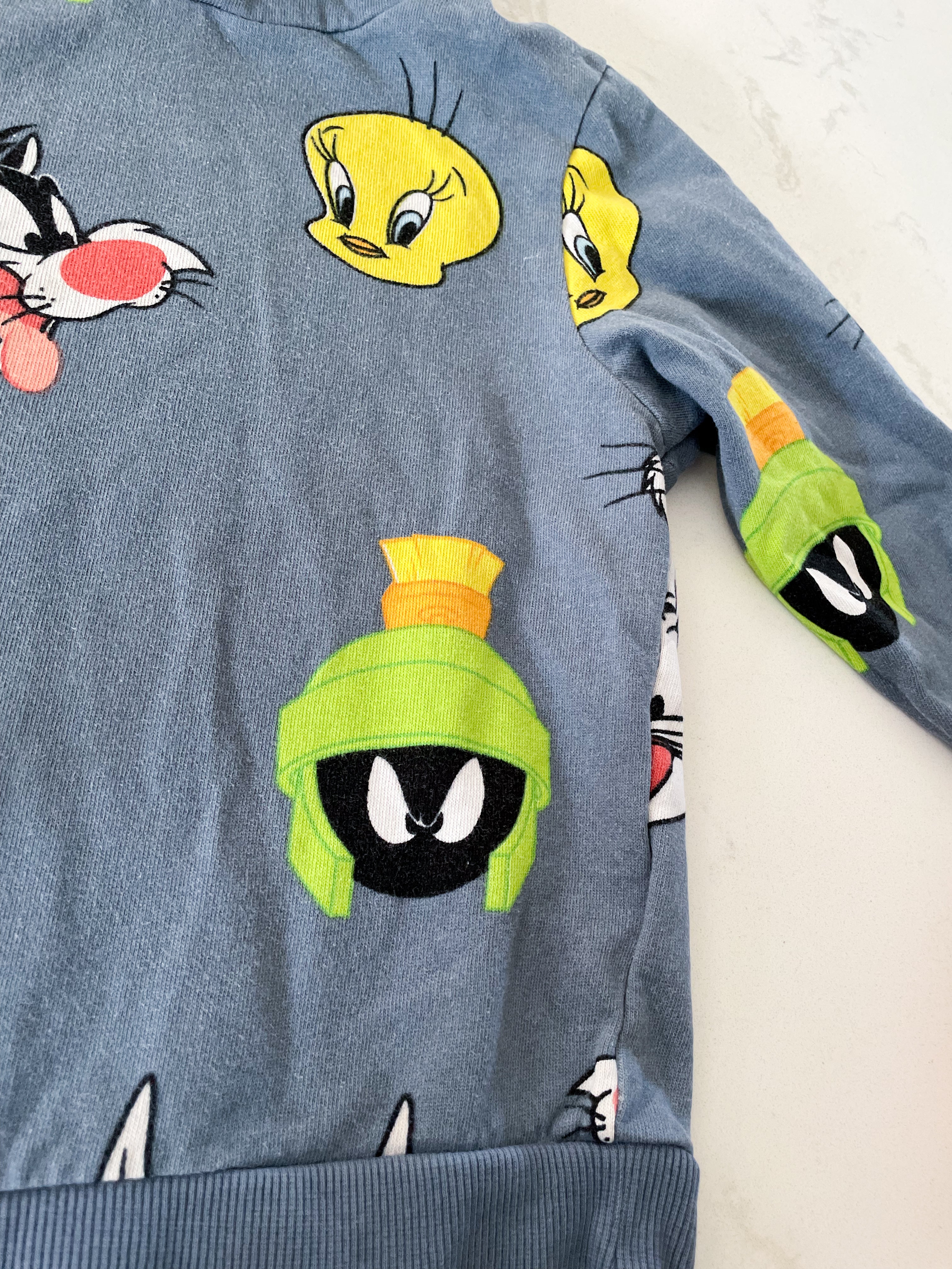 H&M- 6X/7-GUC- slate blue hoodie with Looney Tunes characters
