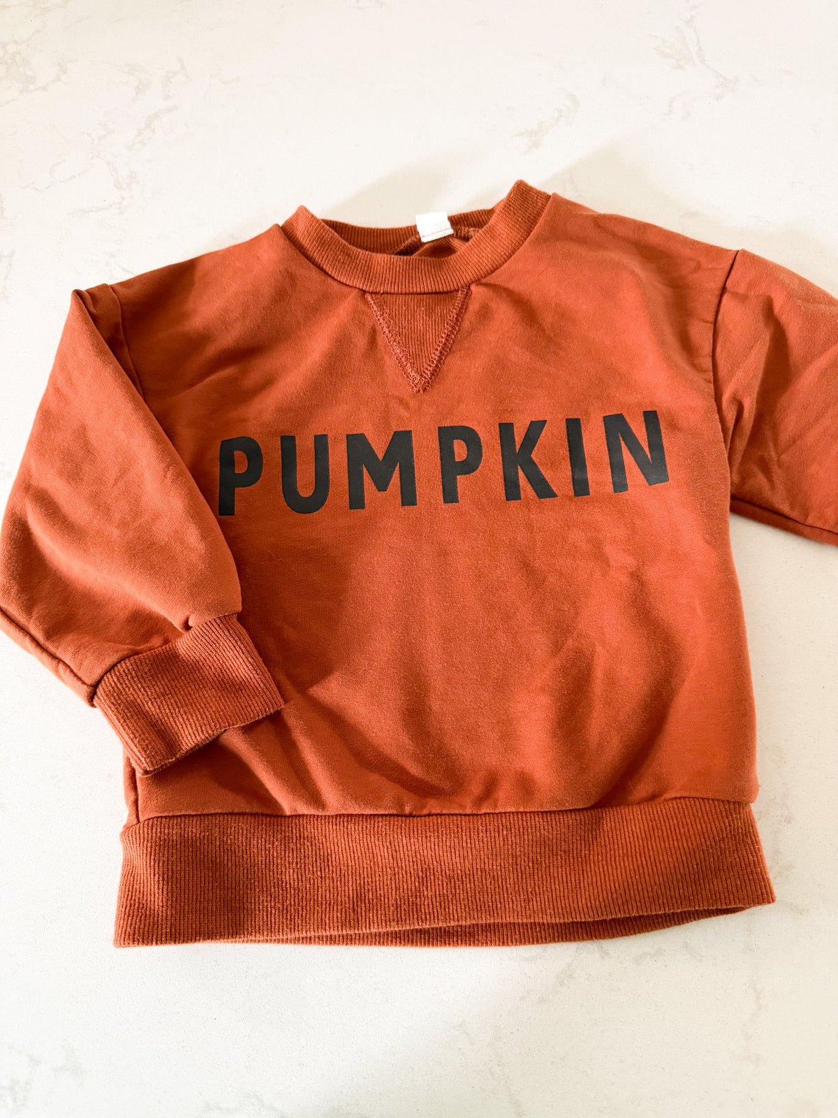 No brand- 18-24m- VGUC- burnt orange crewneck sweater with pumpkin on front