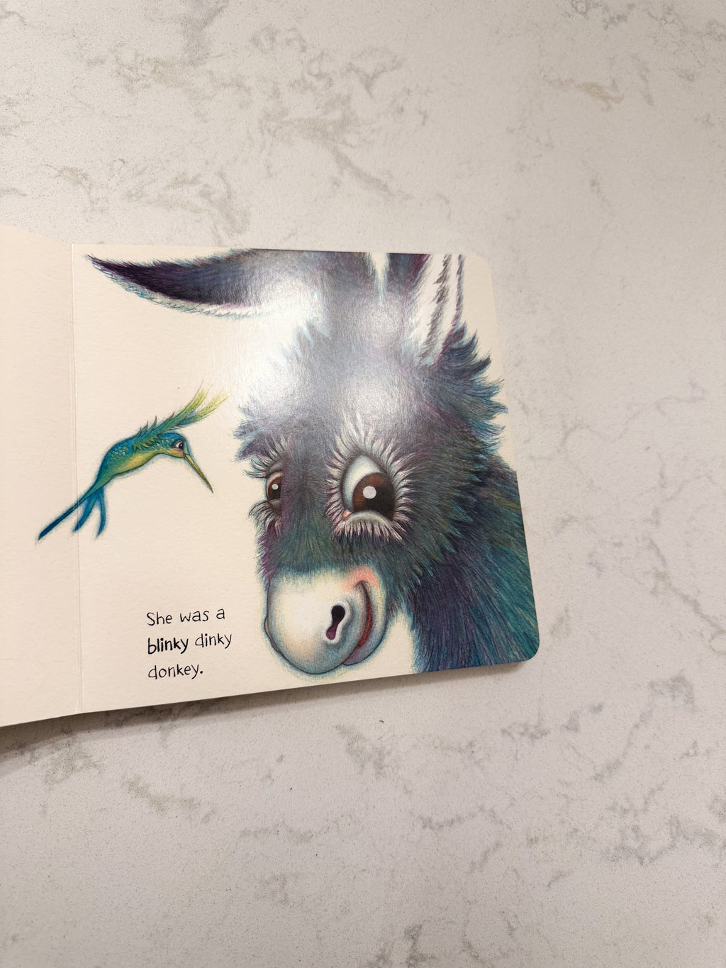 The Dinky Donkey- PLAY