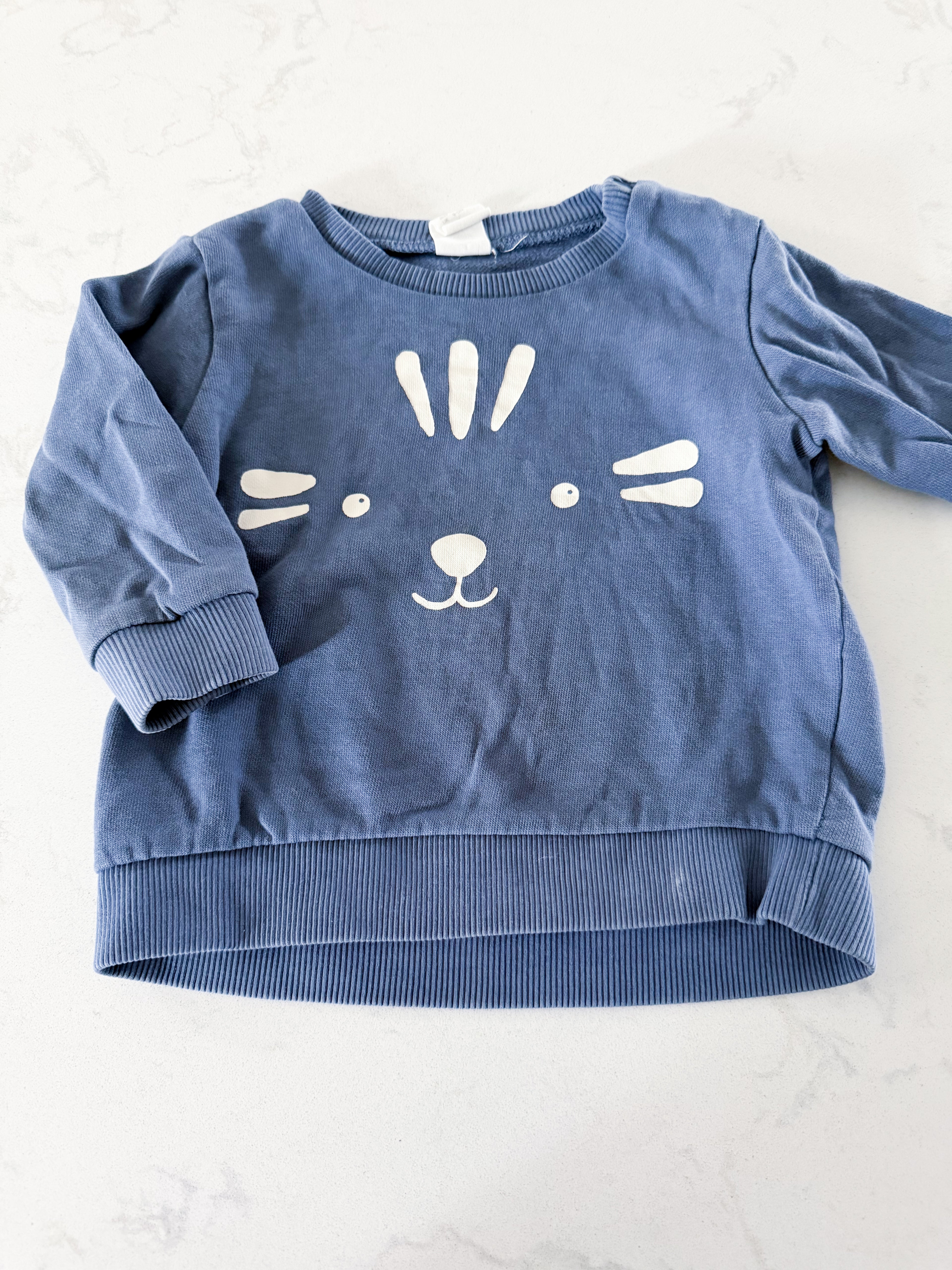 H&M- 9-12m- GUC- blue crewneck with minimalist lion face