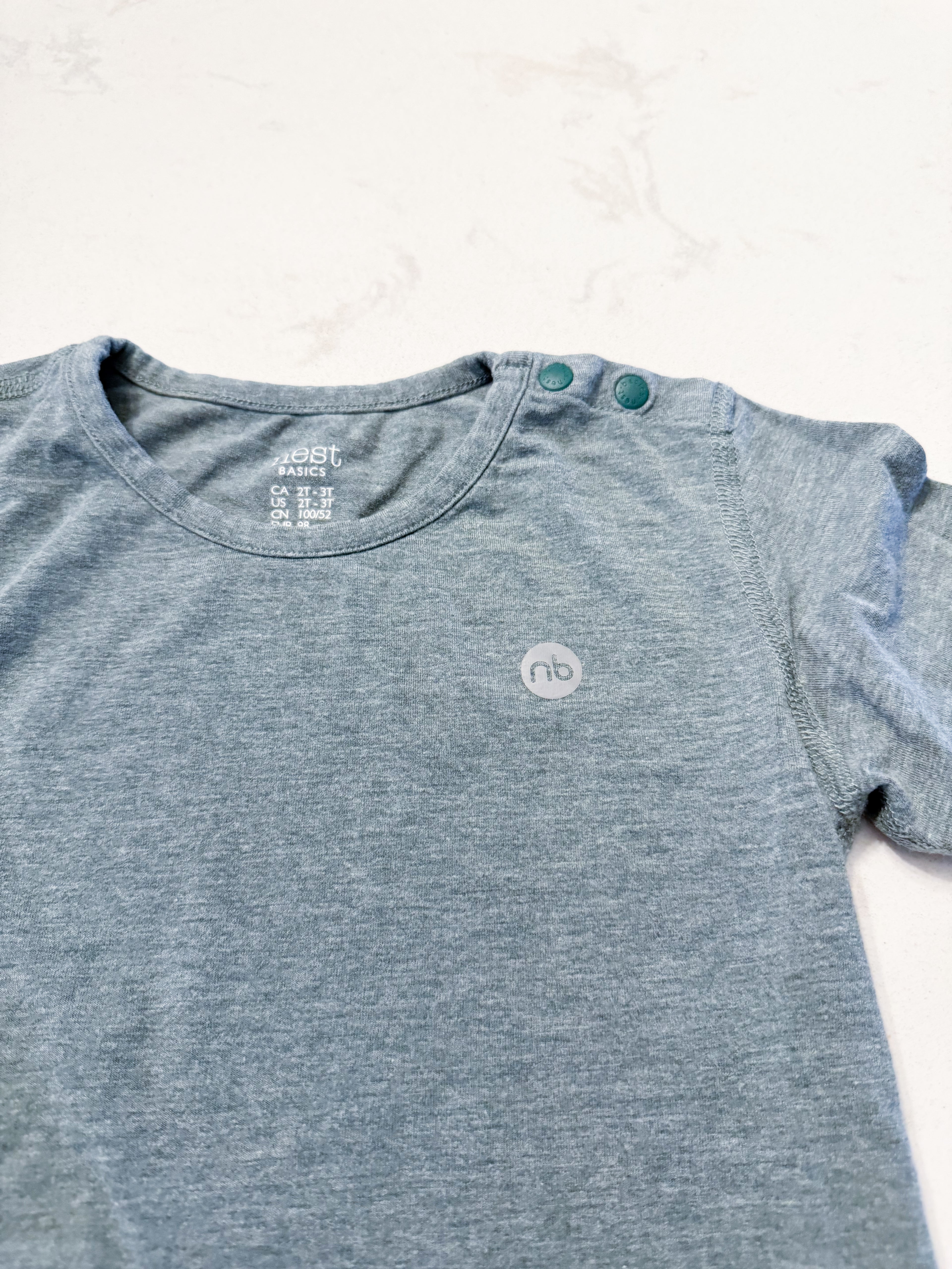 Nest- 2/3T- VGUC- bamboo long sleeve light green shirt with grey metallic logo.