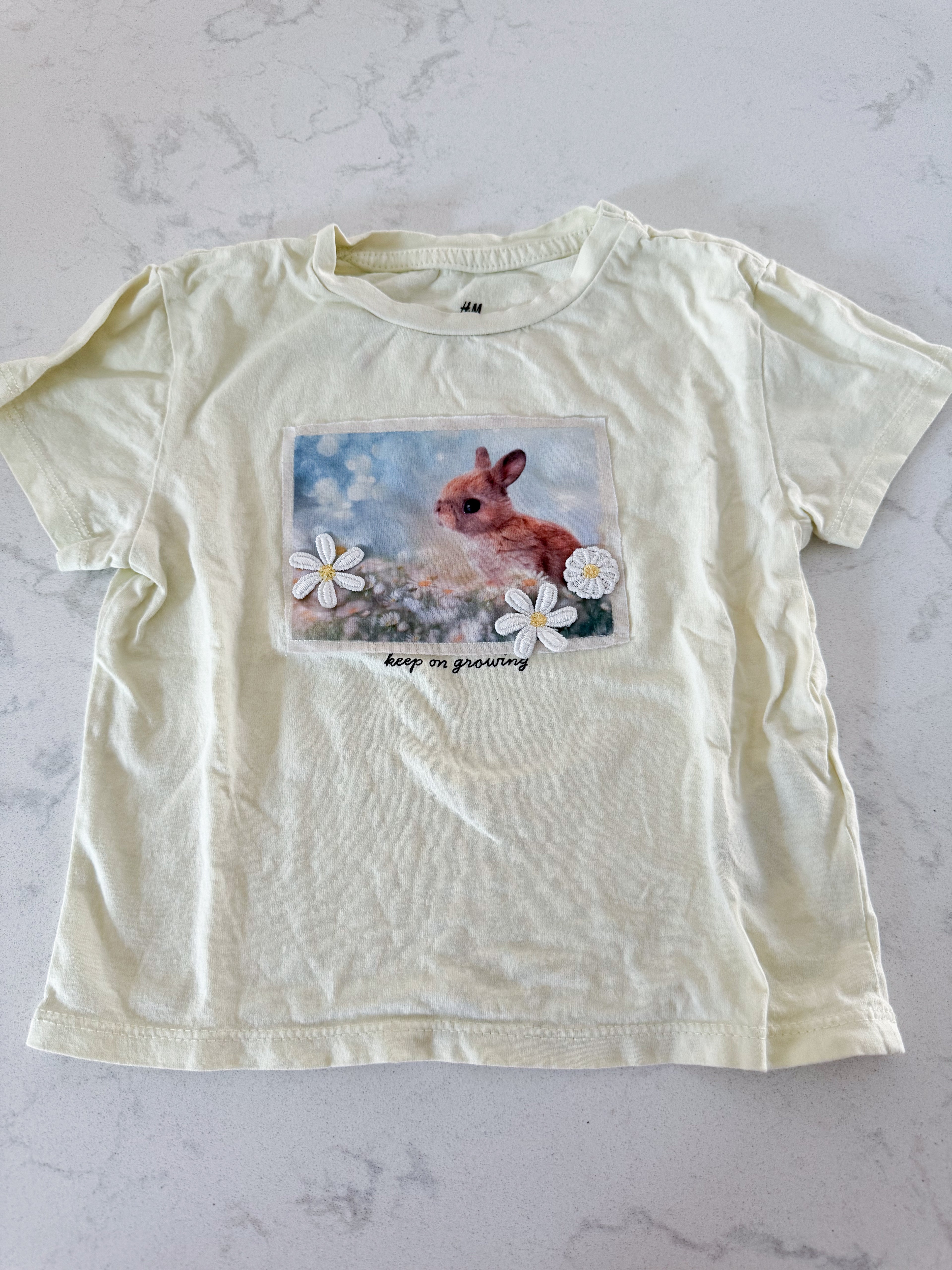 H&M- 2T- GUC- light yellow t shirt with bunny pictures and daisies