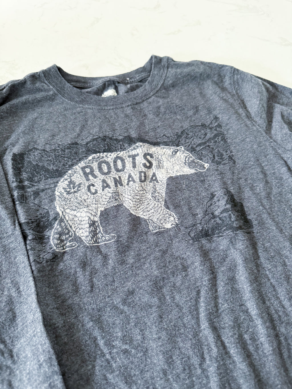Roots- 13-14Y- VGUC- long sleeve medium grey shirt with bear graphic