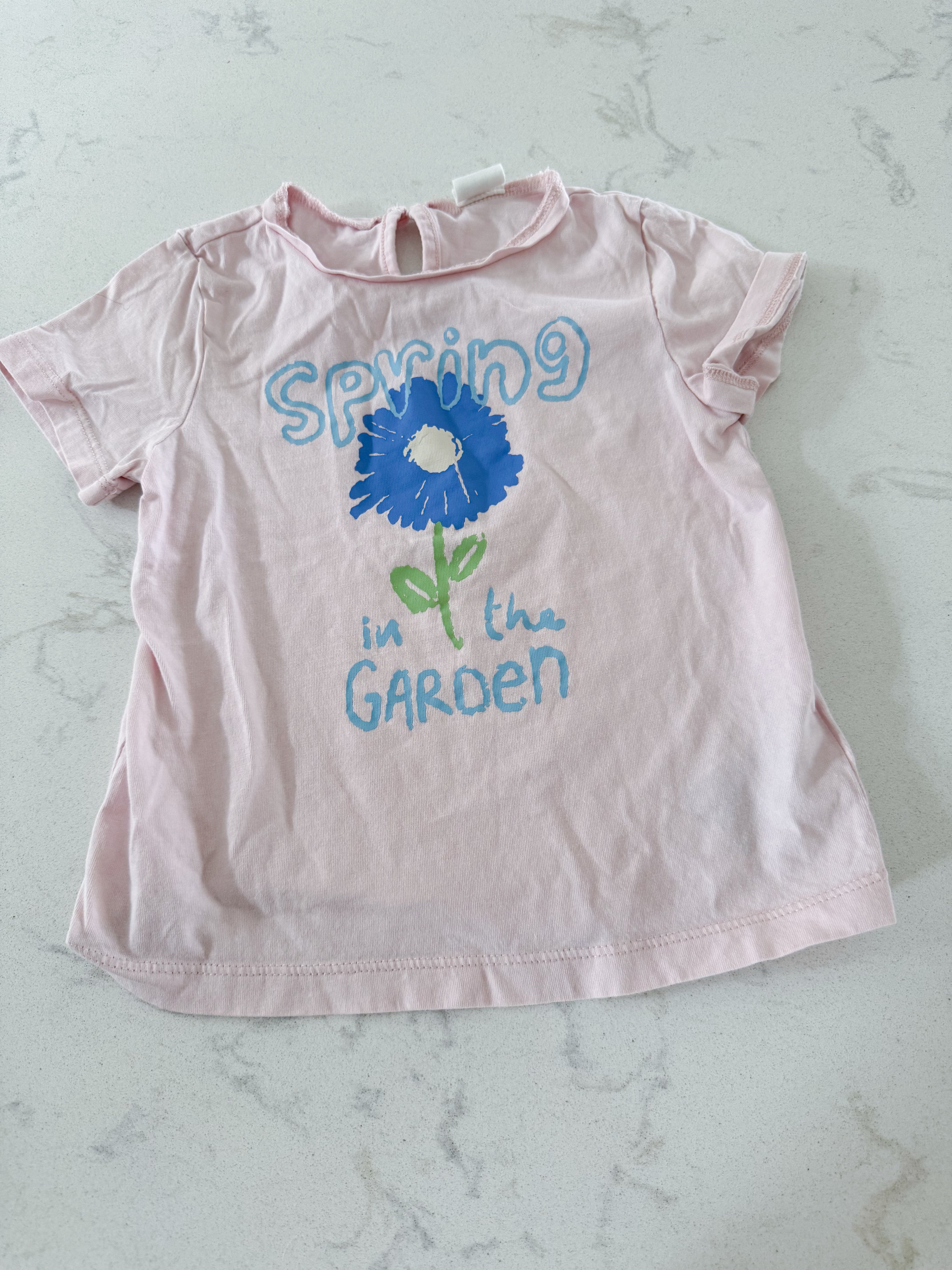 H&M- 12-18m- VGUC- light pink t shirt with blue flower and “spring in the garden”