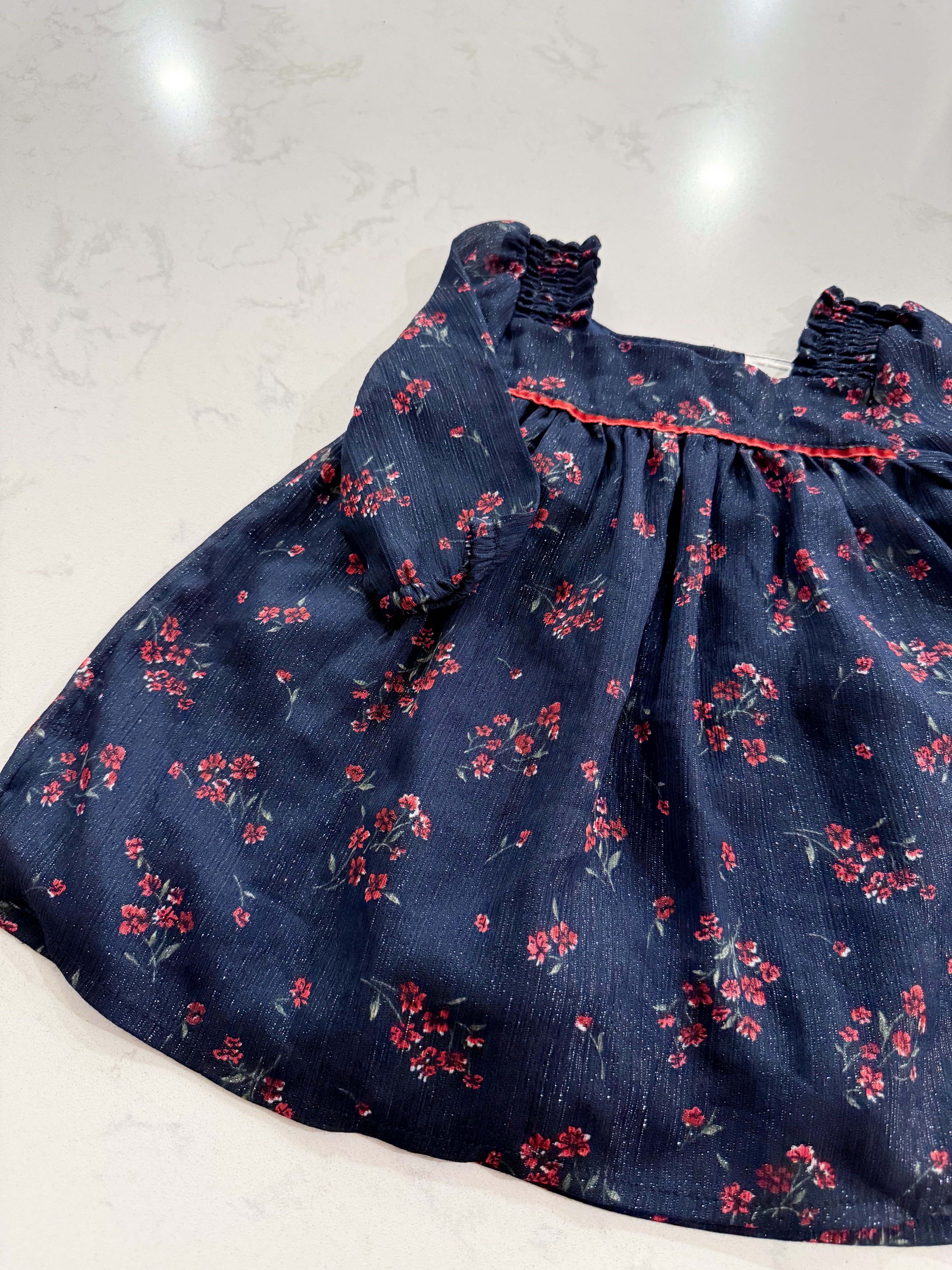 Baby B’gosh- 6m- VGUC- navy blue metallic chiffon dress with red florals