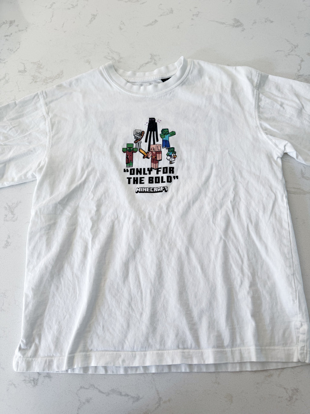 Zara- 11-12Y- VGUC- white t shirt with Minecraft graphic and upper back graphic