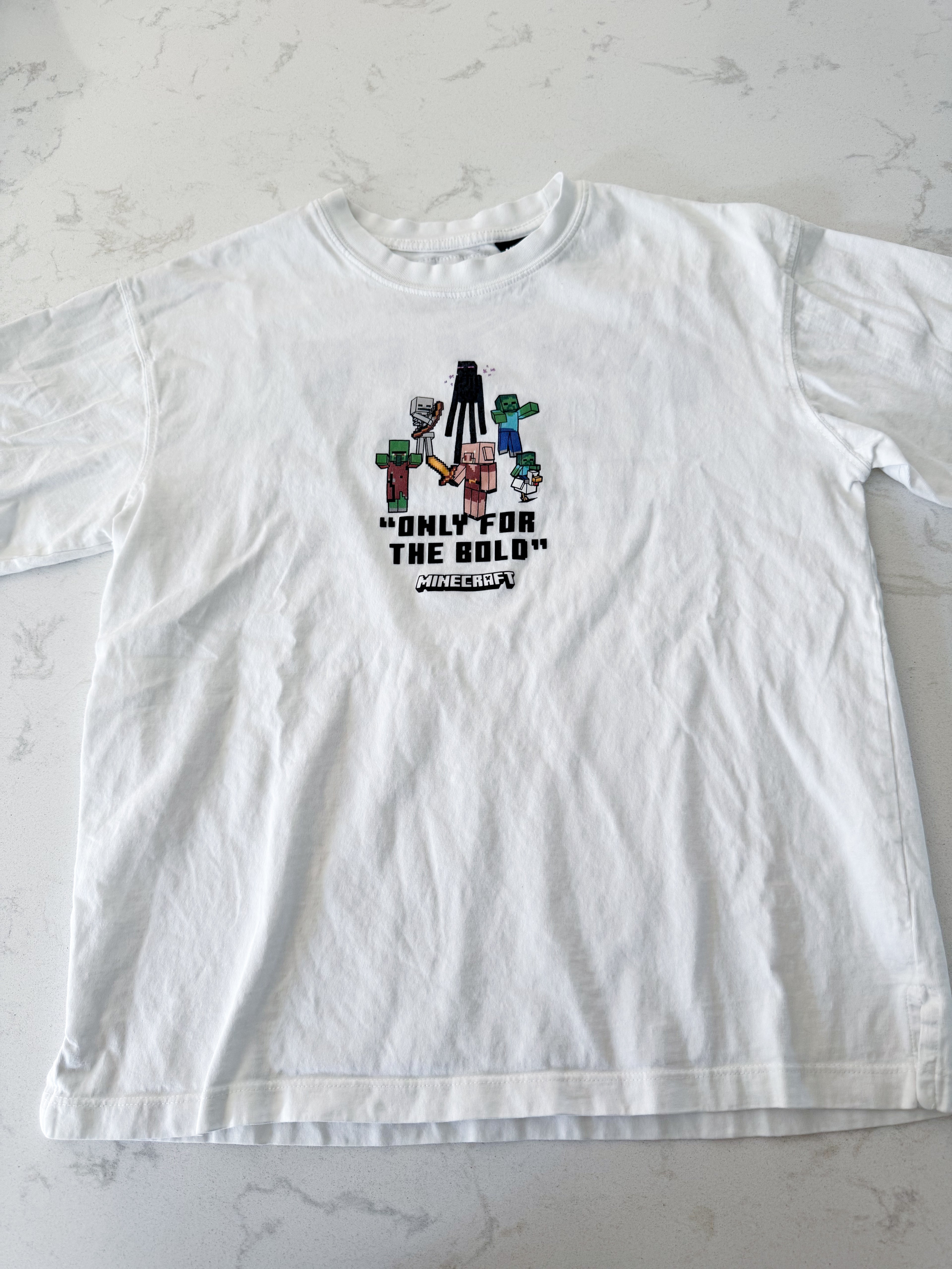Zara- 11-12Y- VGUC- white t shirt with Minecraft graphic and upper back graphic