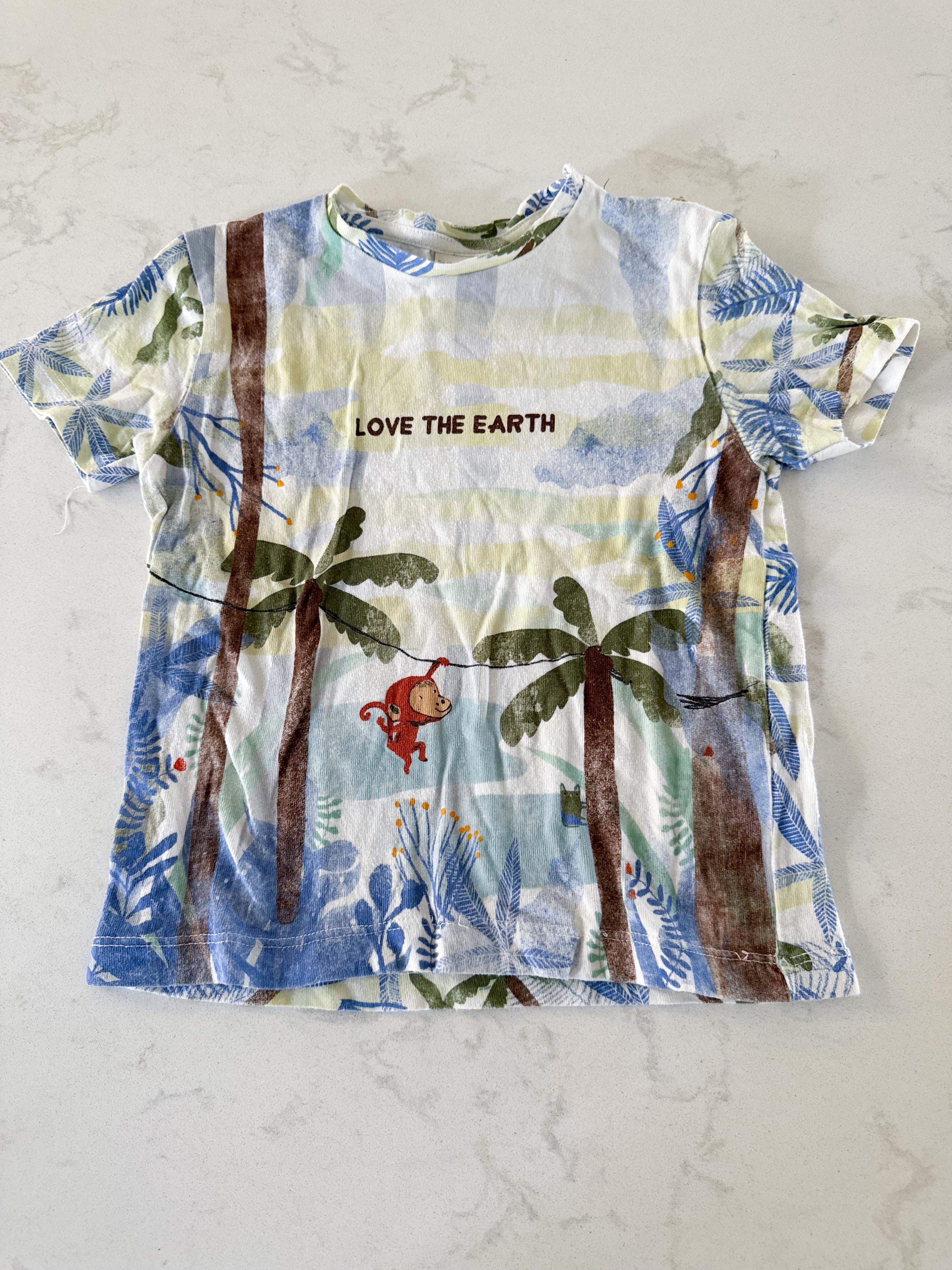 Zara- 2-3Y- VGUC- blue and green jungle t shirt