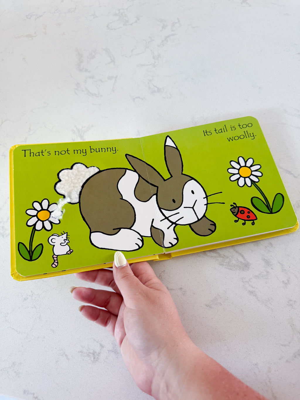 Usborne “That’s not my bunny”- play- yellow touch and feel board book
