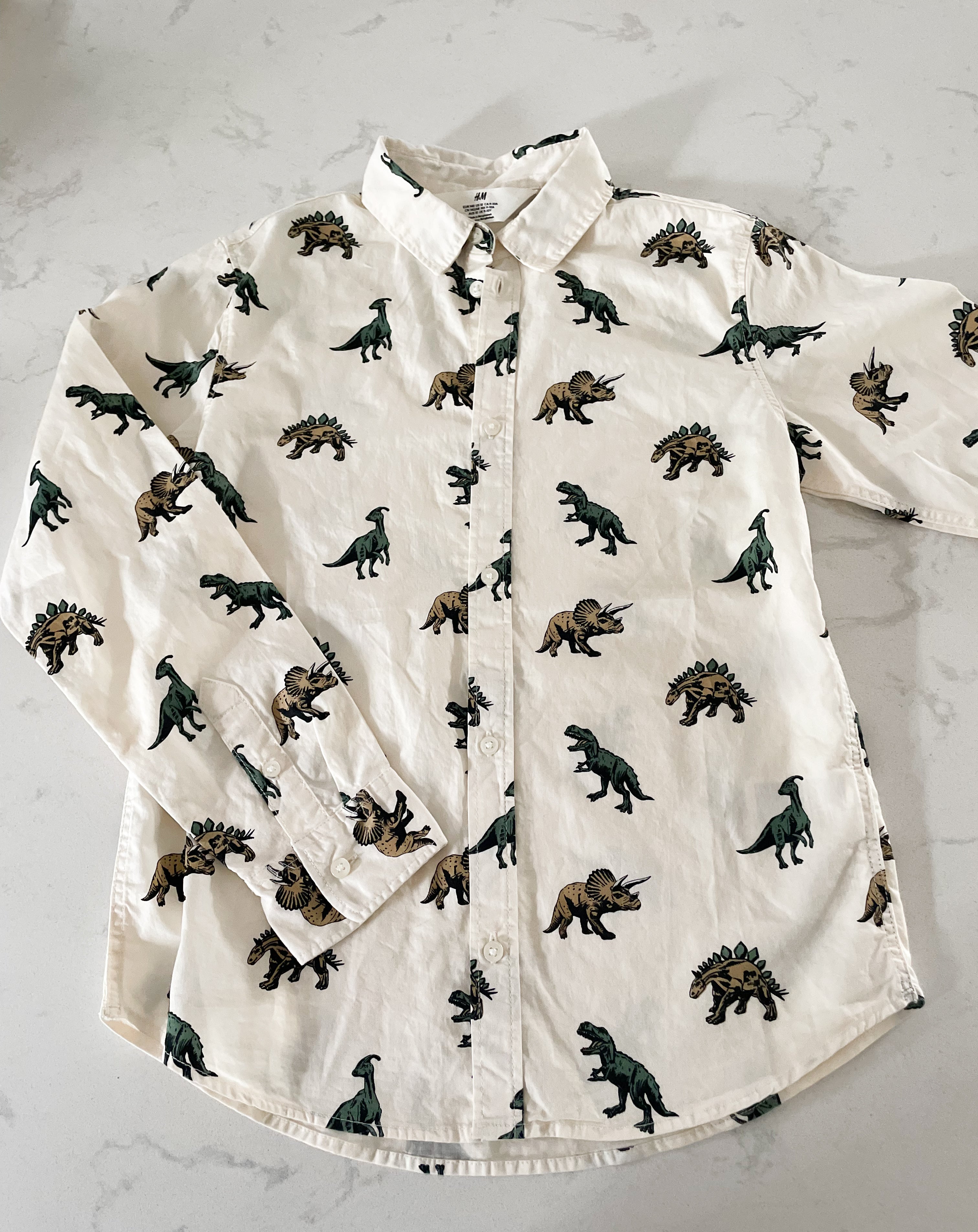 H&M-10Y-EUC-off white dinosaur dress shirt