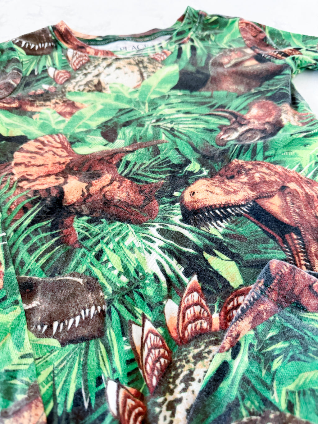 The Children’s Place- 6Y- GUC- two piece shorts jammies with tropical leaves and dinosaur pattern