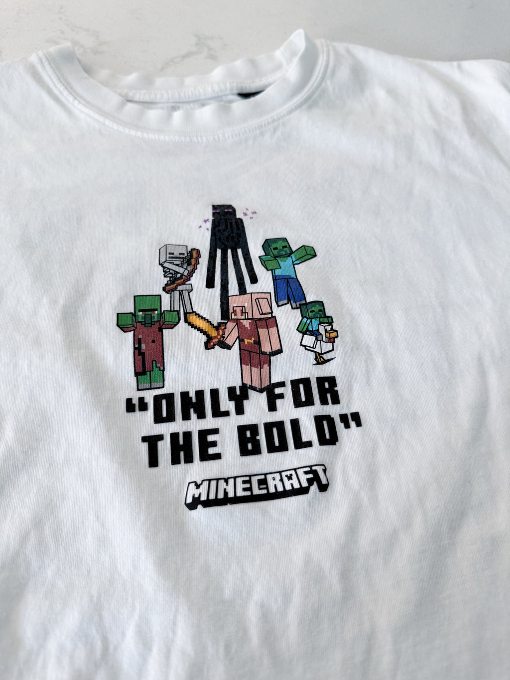 Zara- 11-12Y- VGUC- white t shirt with Minecraft graphic and upper back graphic
