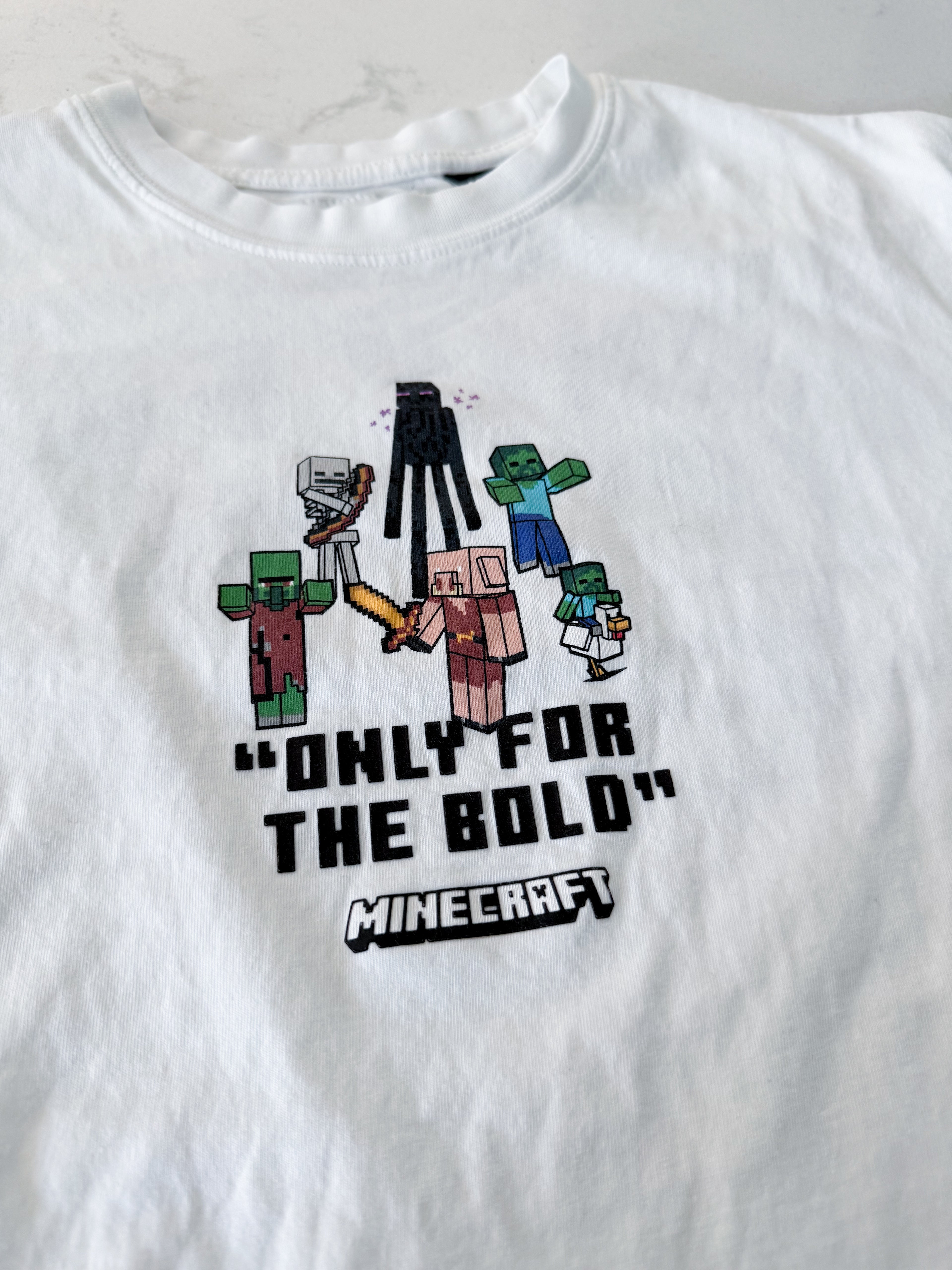 Zara- 11-12Y- VGUC- white t shirt with Minecraft graphic and upper back graphic