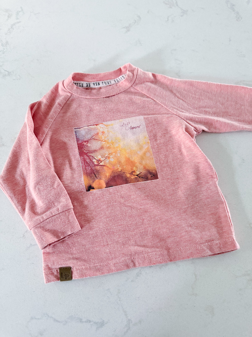 L&P Apparel- 6-12m- VGUC- long sleeve pink shirt with spring graphic