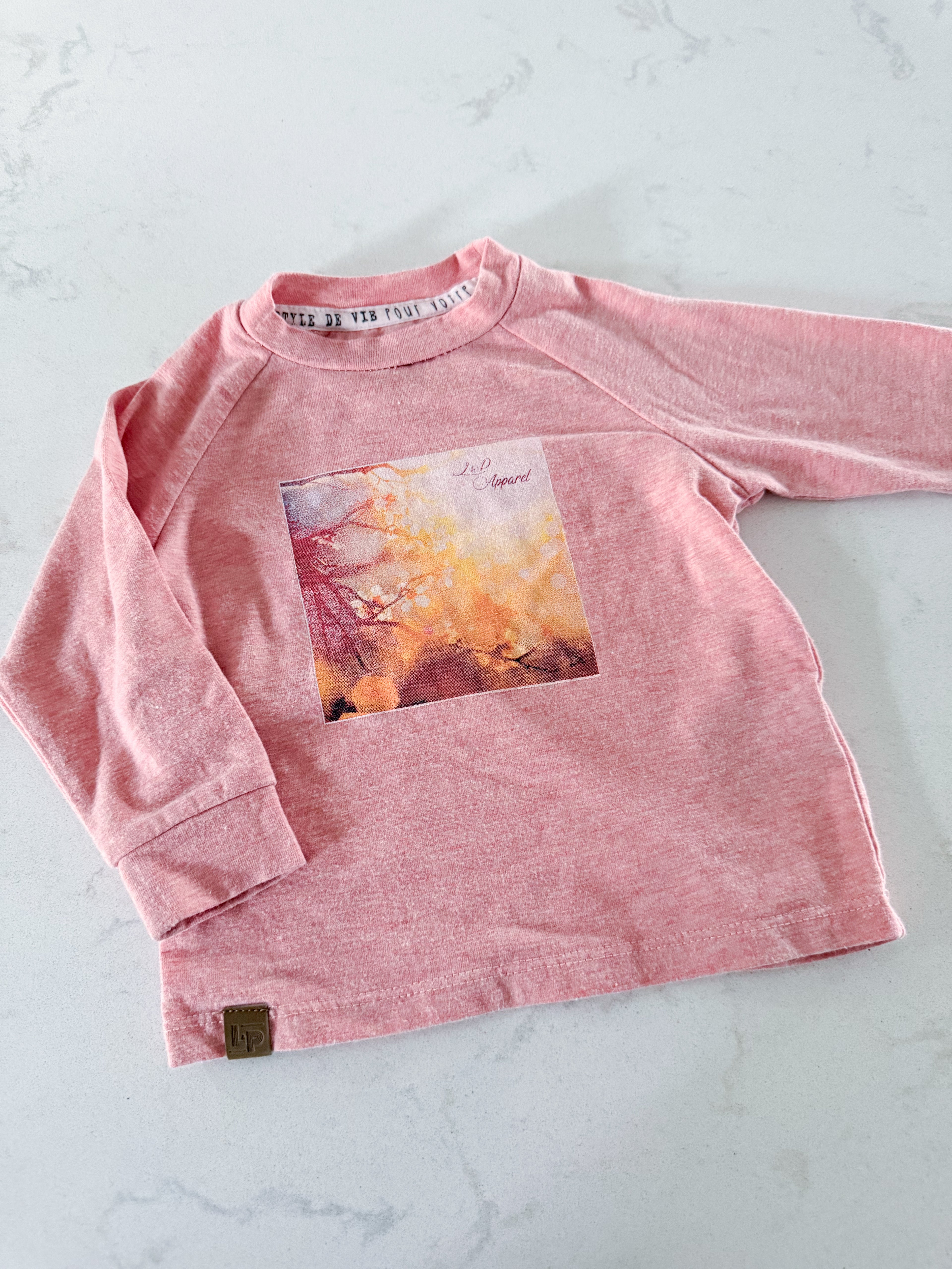 L&P Apparel- 6-12m- VGUC- long sleeve pink shirt with spring graphic