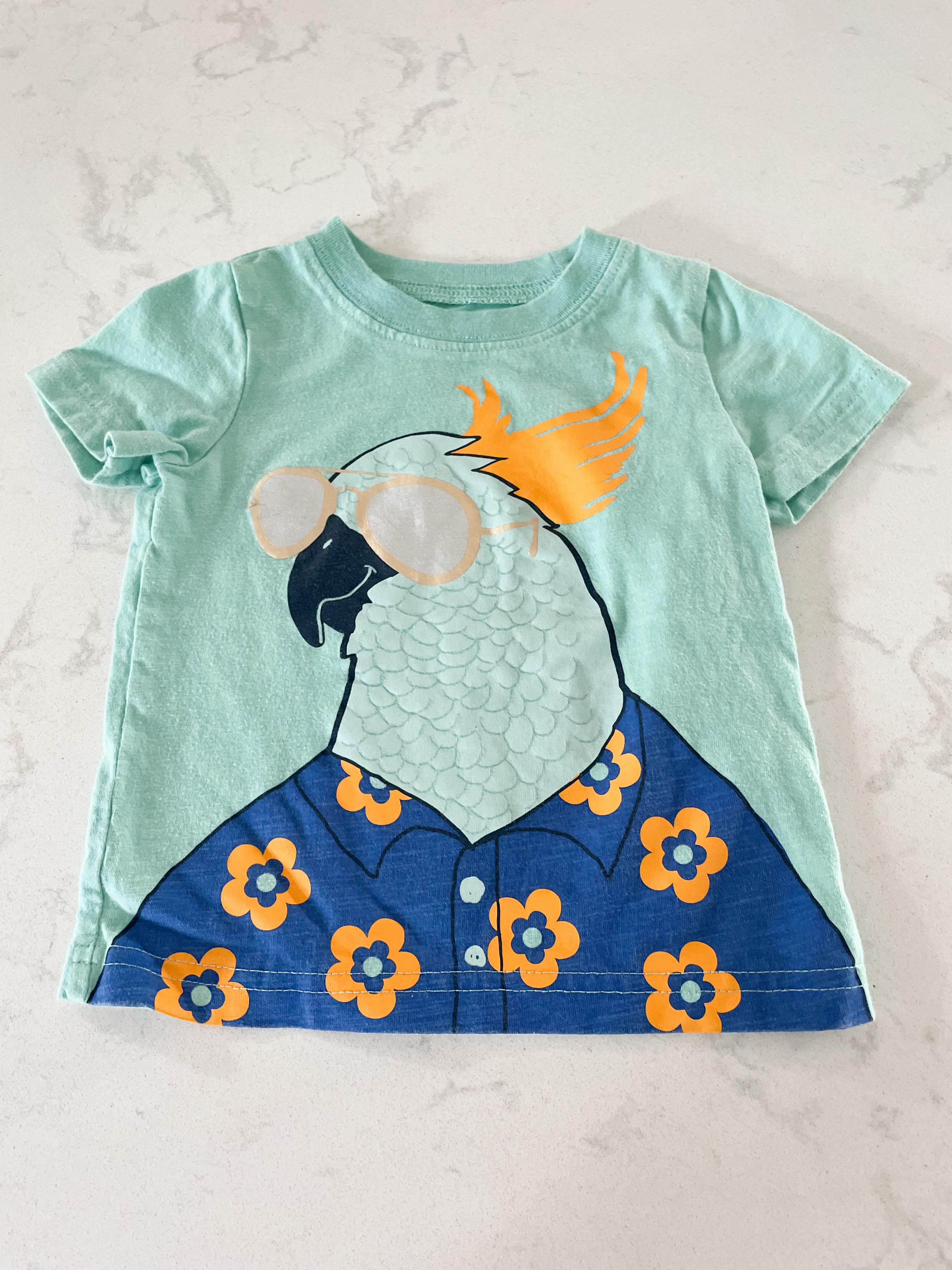 Carter’s- 9m- GUC- parrot t shirt