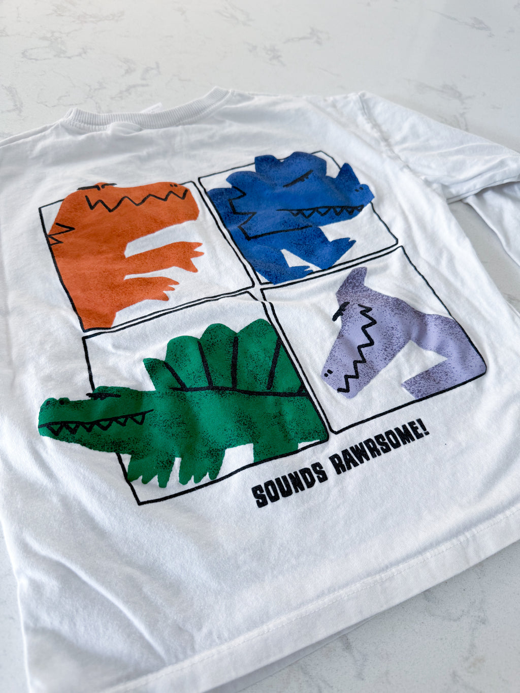Zara- 6Y- PLAY- white long sleeve shirt with Dino graphics