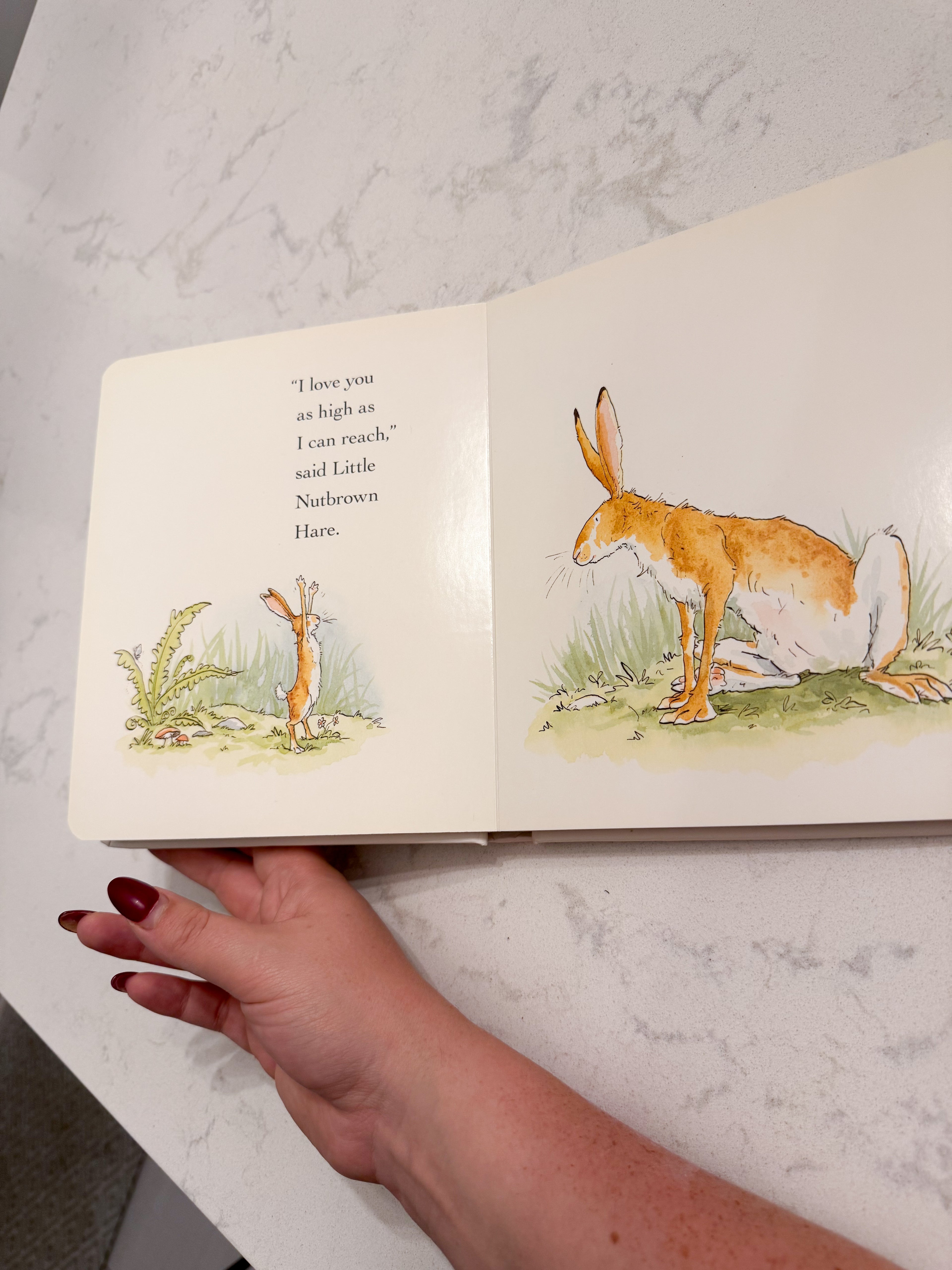 Guess How Much I Love You- VGUC