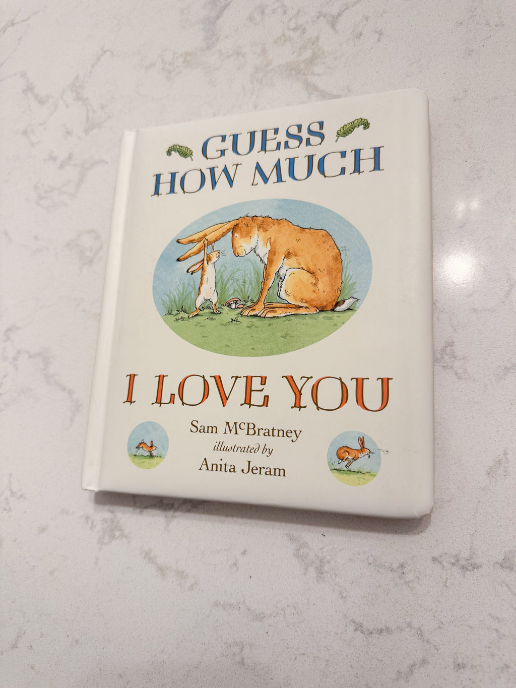 Guess How Much I Love You- VGUC