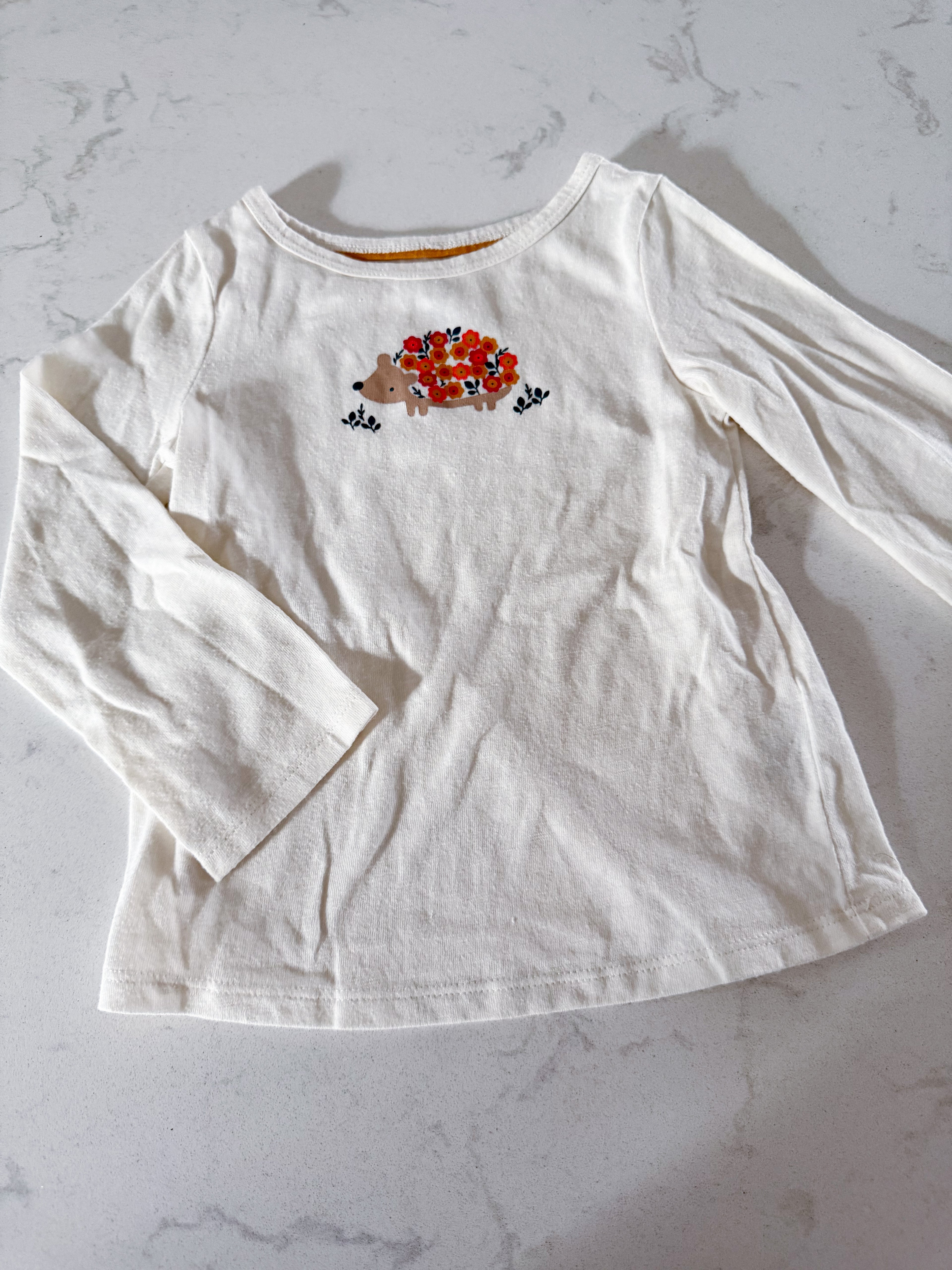 Wonder Nation- 3T- VGUC- cream coloured long sleeve shirt with floral hedgehog on front
